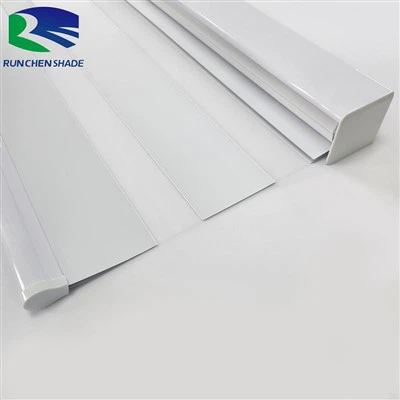 I 10 migliori produttori di tende zebrate al mondo